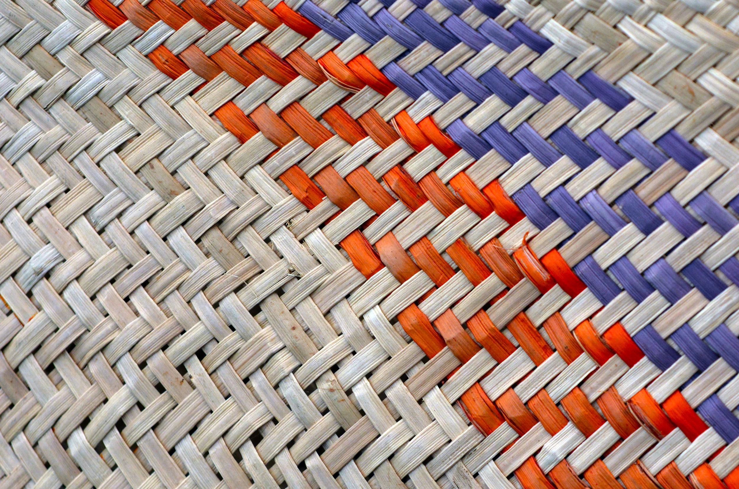 12 Miringa Whakaaro 3 AdobeStock_102106210_WM.jpeg