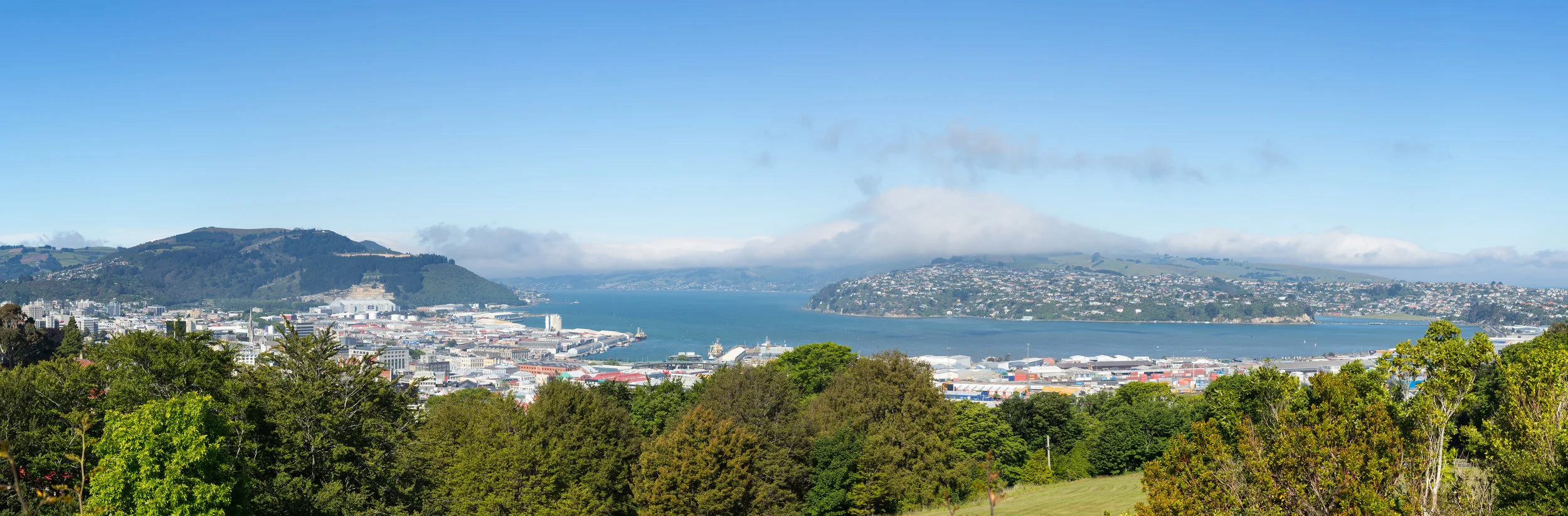 F Dunedin AdobeStock_62301577.jpeg