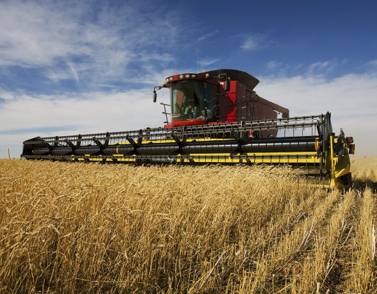Agriculture-550x450.png