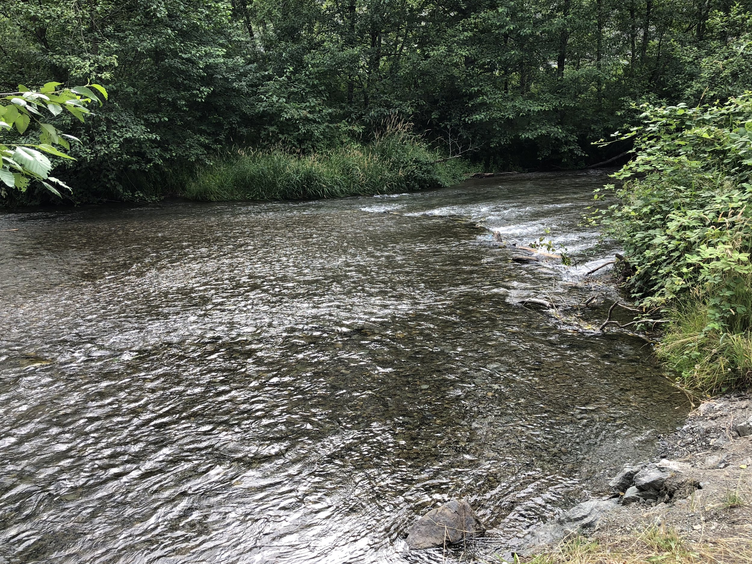 2018-Creek+picture.jpeg