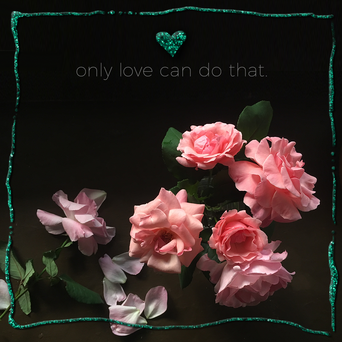 These roses were grown in our garden! They were so beautiful and our brown kitchen counter is the perfect spot to take photos of them. This was a Valentines Day post I made. <3 