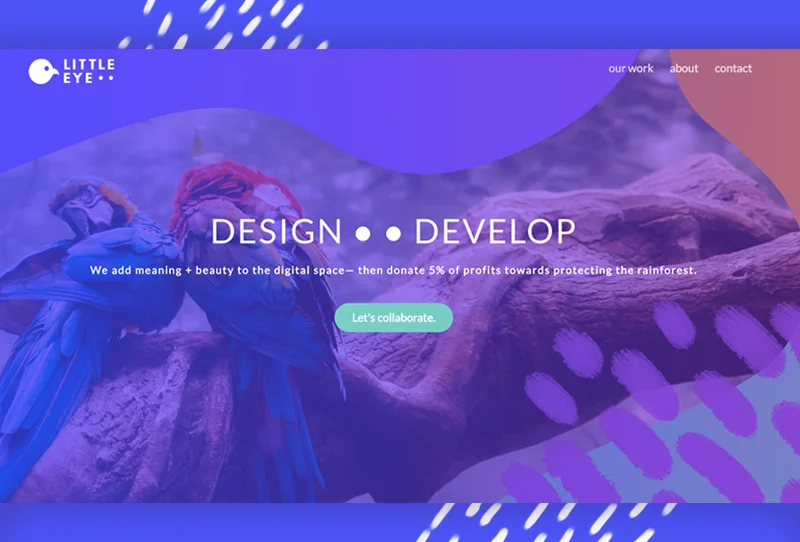 Little Eye Web Development and Design: Reveal!