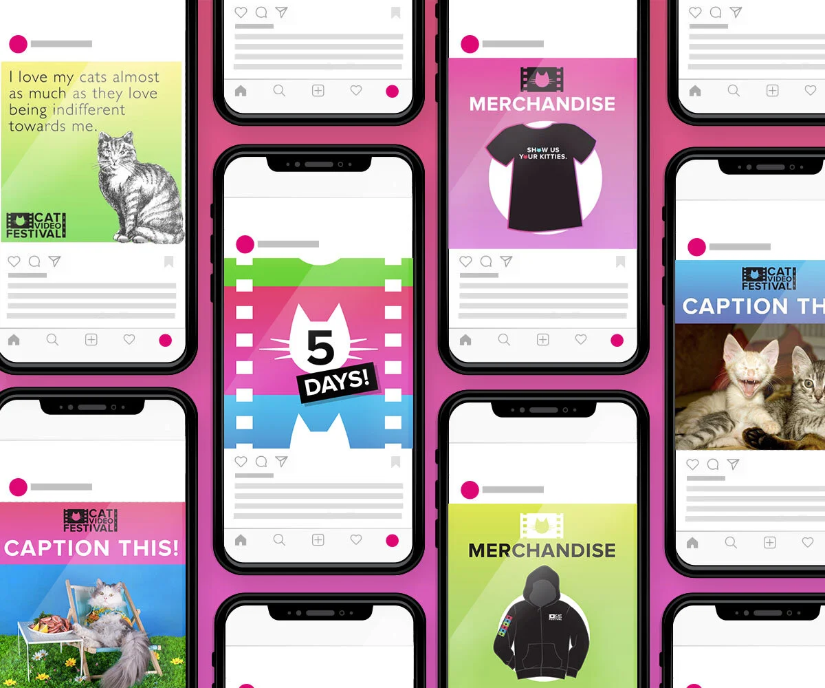 SocialMediaCatVidFestDesign_DaniellaAttinella.jpg