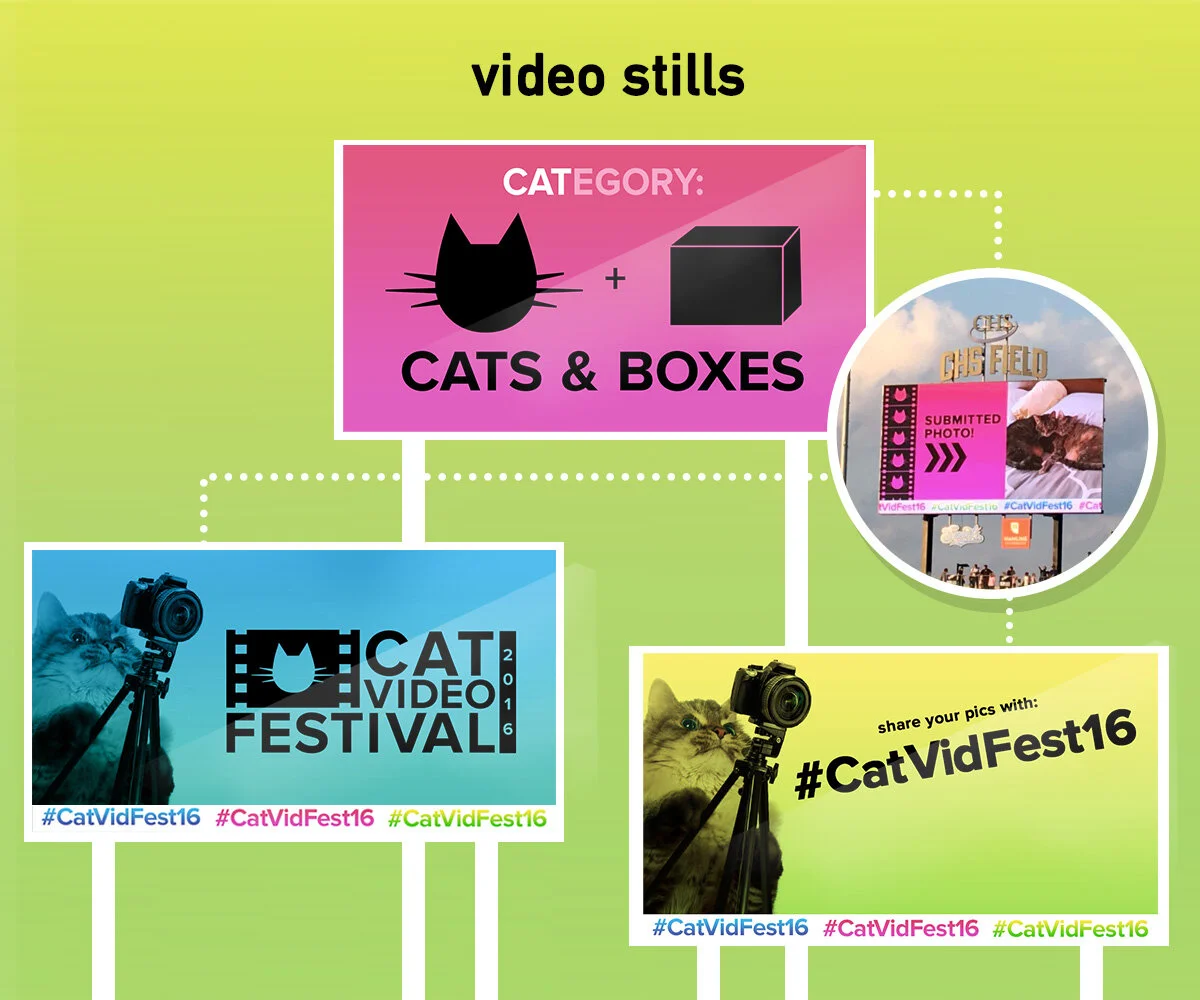 VideoStillsCatVidFestDesign_DaniellaAttinella.jpg