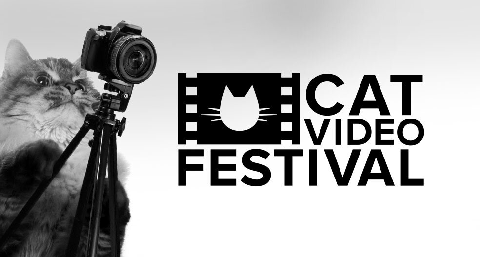 CatVidFest_1stb_BW.jpg
