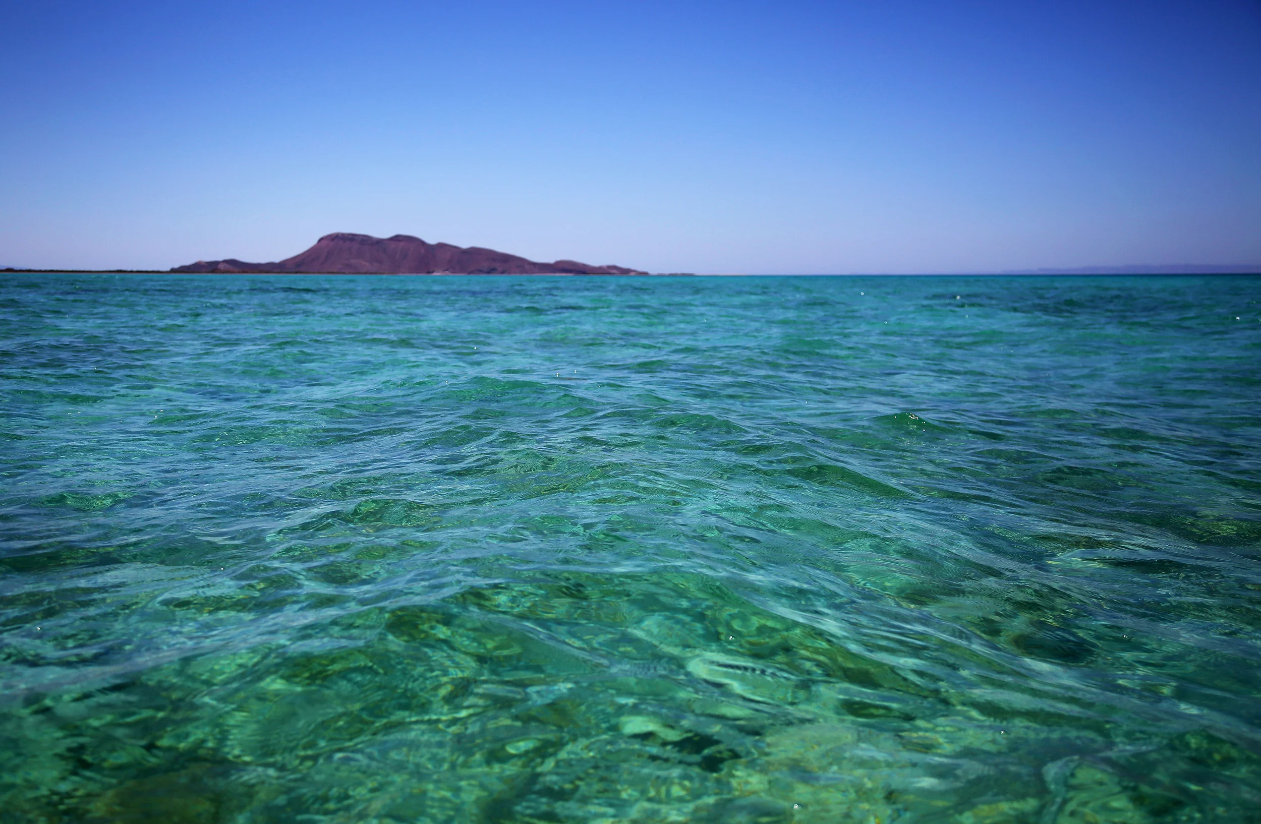 Sea of Cortez