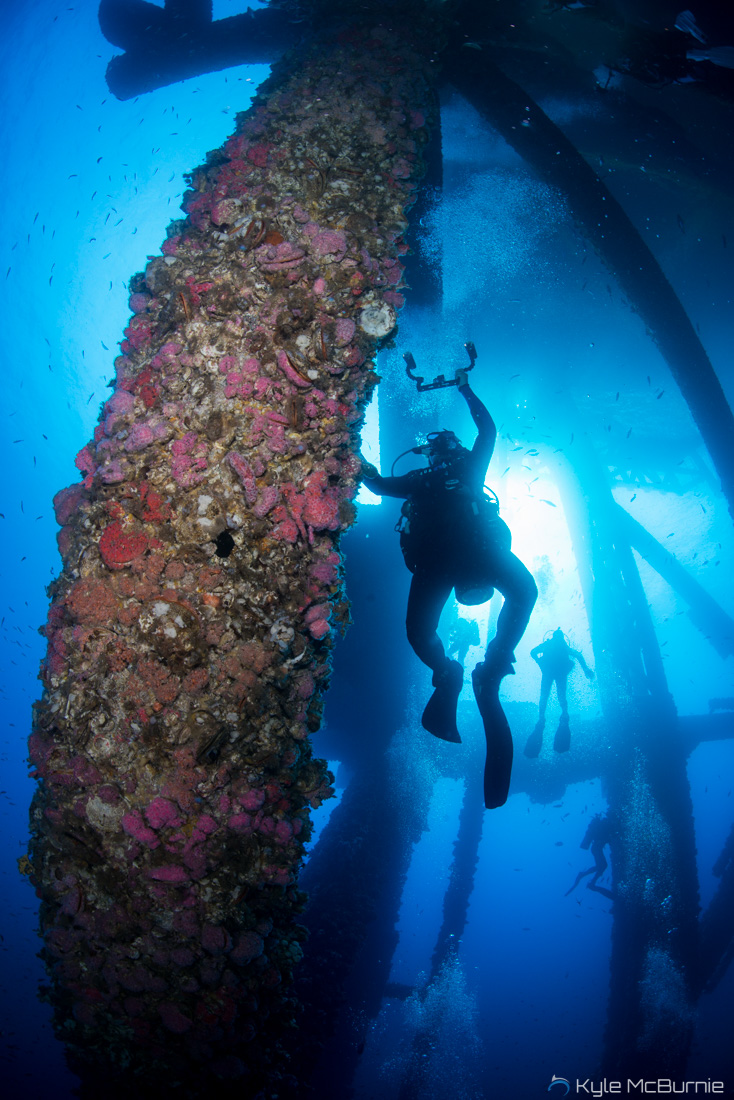 Converting rigs to Reefs: The New York Times
