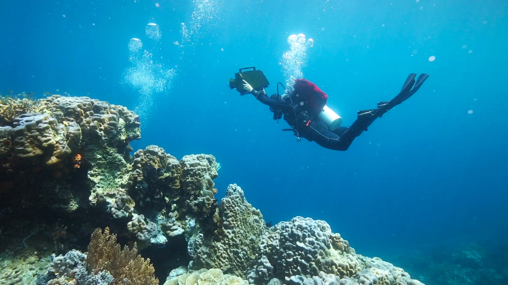 In the Deep - Ocean science video series