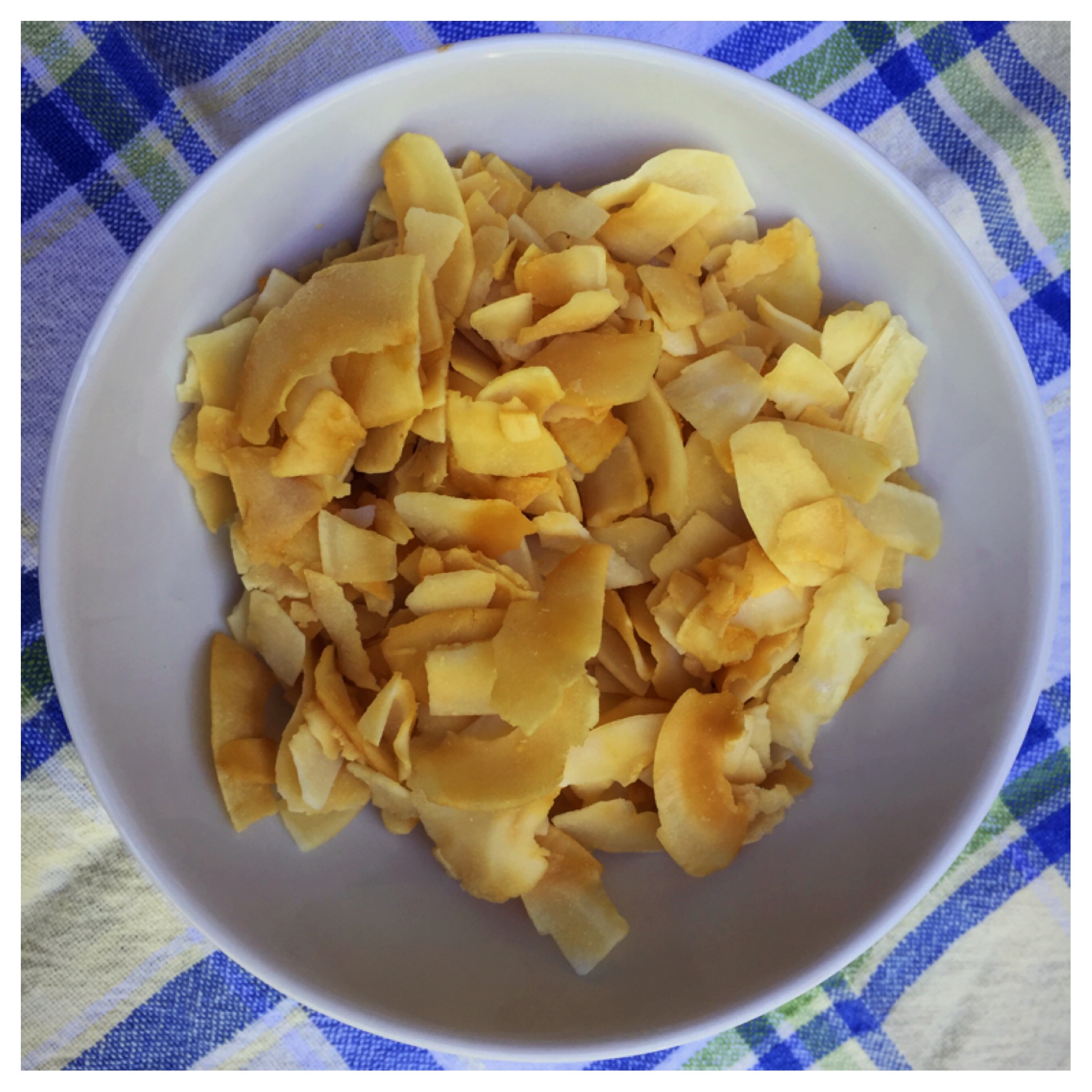 Salt and Vinegar Coconut Chips
