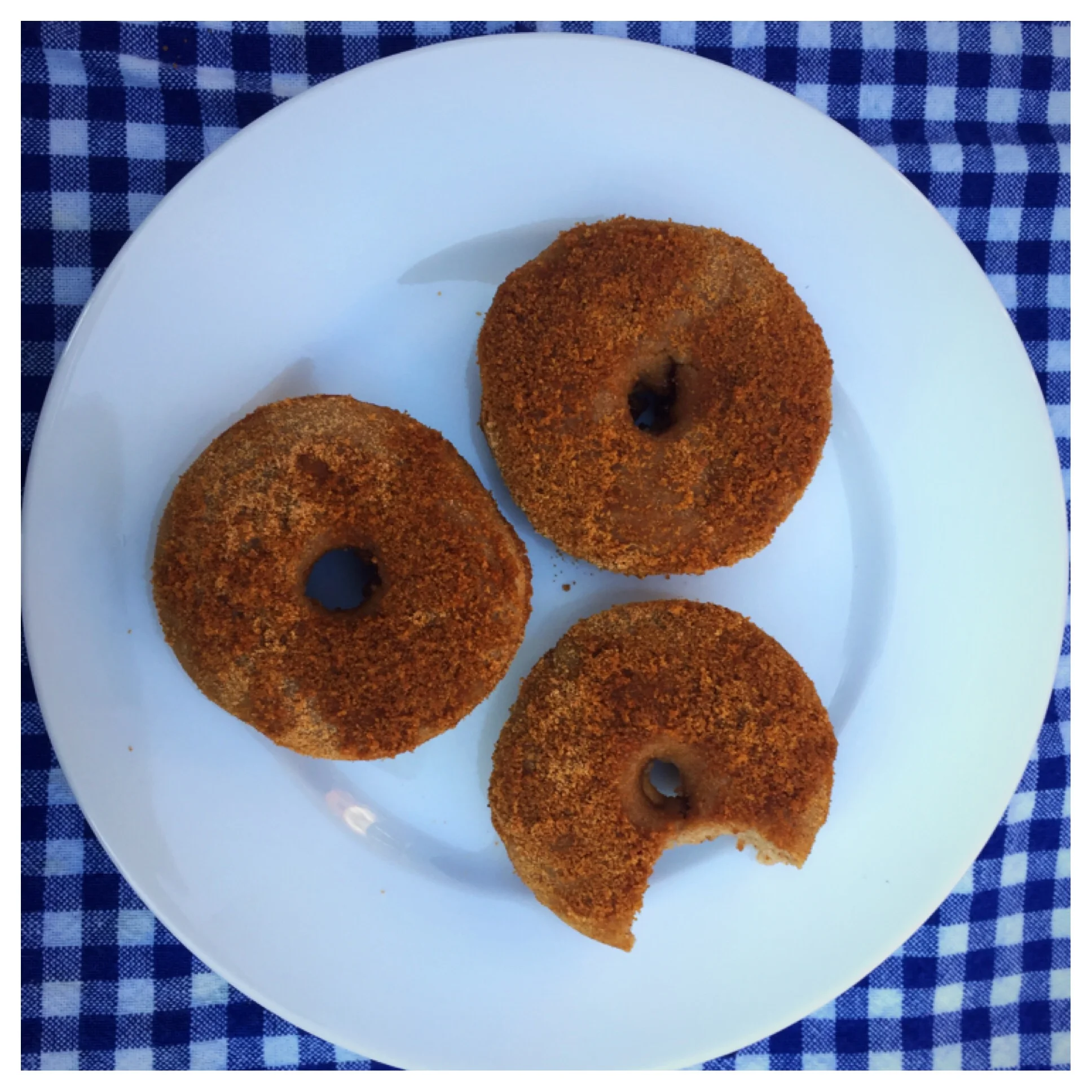 Mini Vanilla Apple Cinnamon Cake Donuts