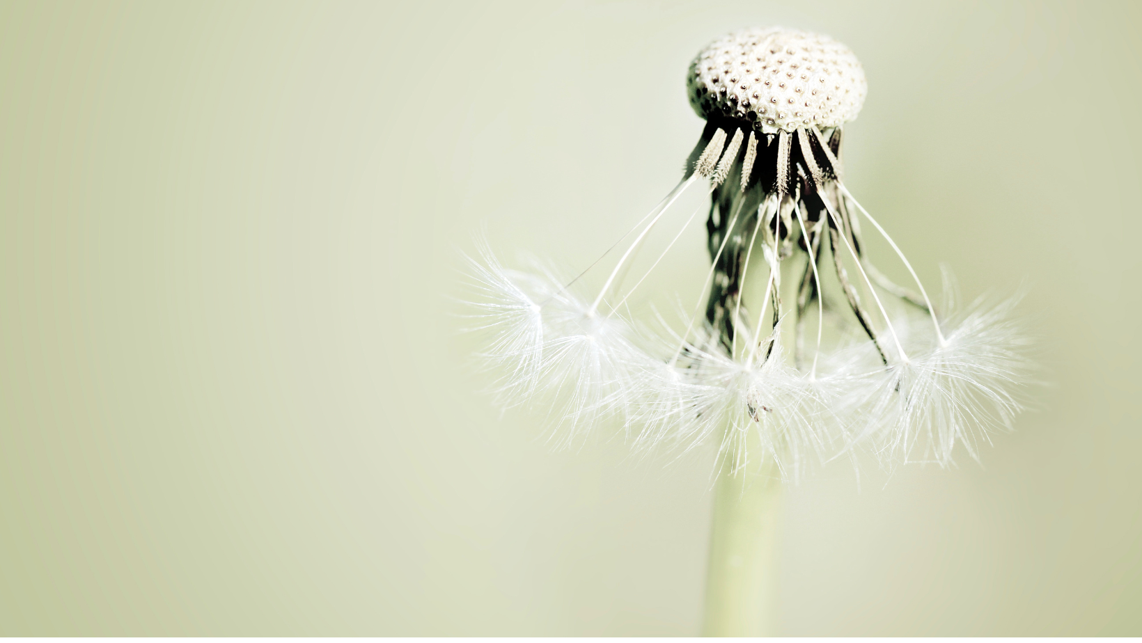 Untitled design (63).png