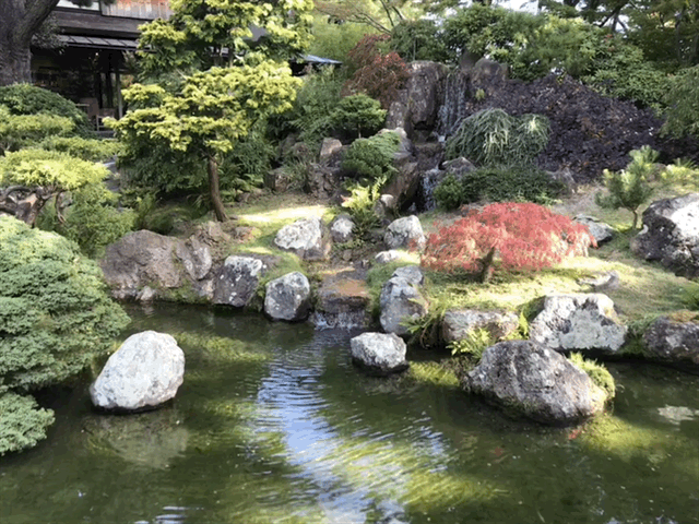 GardenLoop20180913.gif