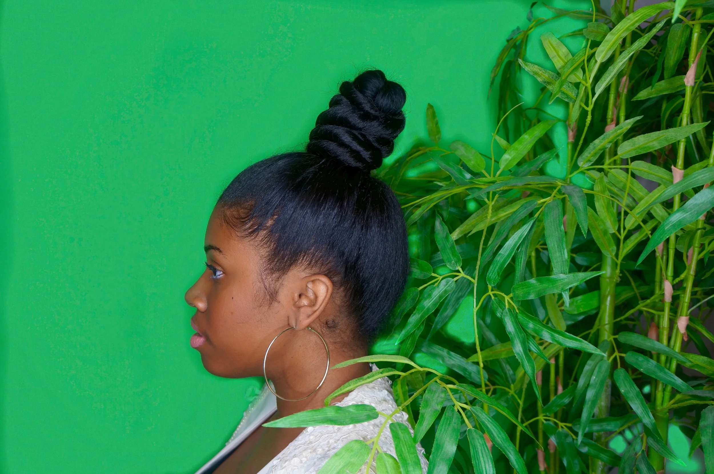 Crowned Series Bun Day Fun Day Krysscole Com