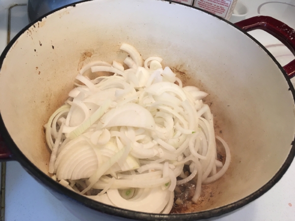 beef onion stew