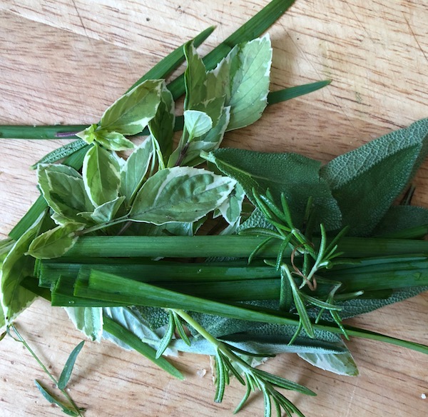 Fresh Herbs Burger Buns