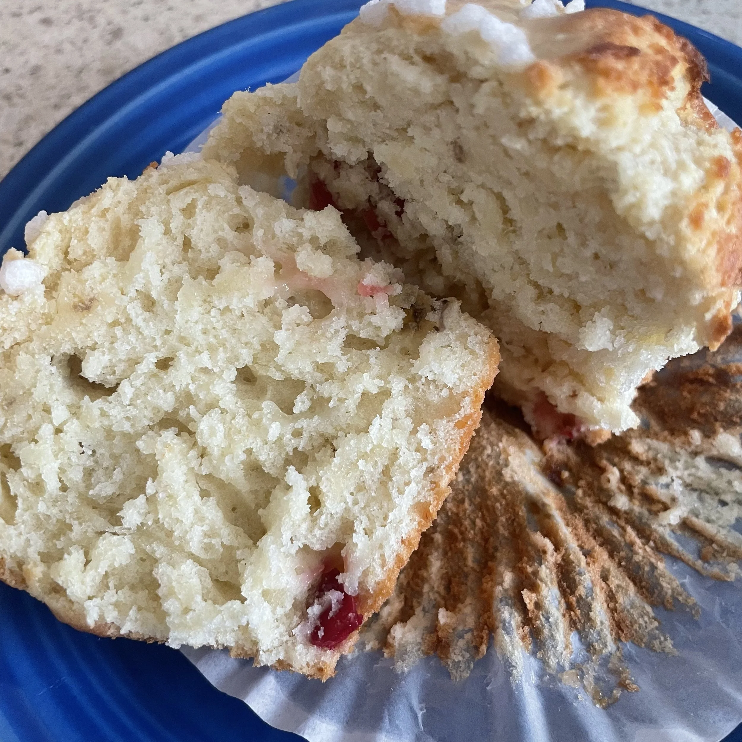 Sourdough Discard Thanksgiving Cranberry Muffins