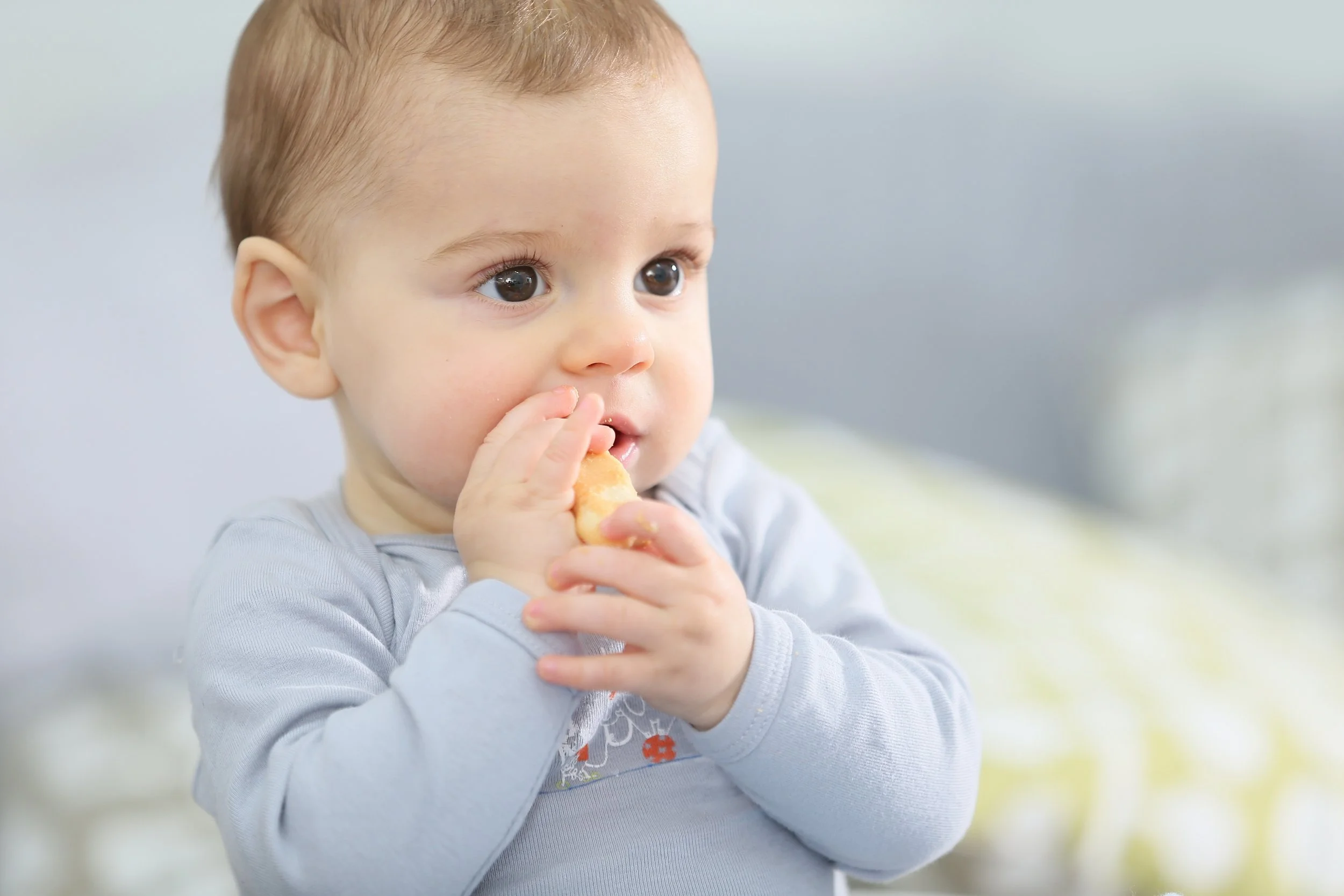 Baby Biscotti Recipe – Nutritious & Iron-Rich Teething Biscuits
