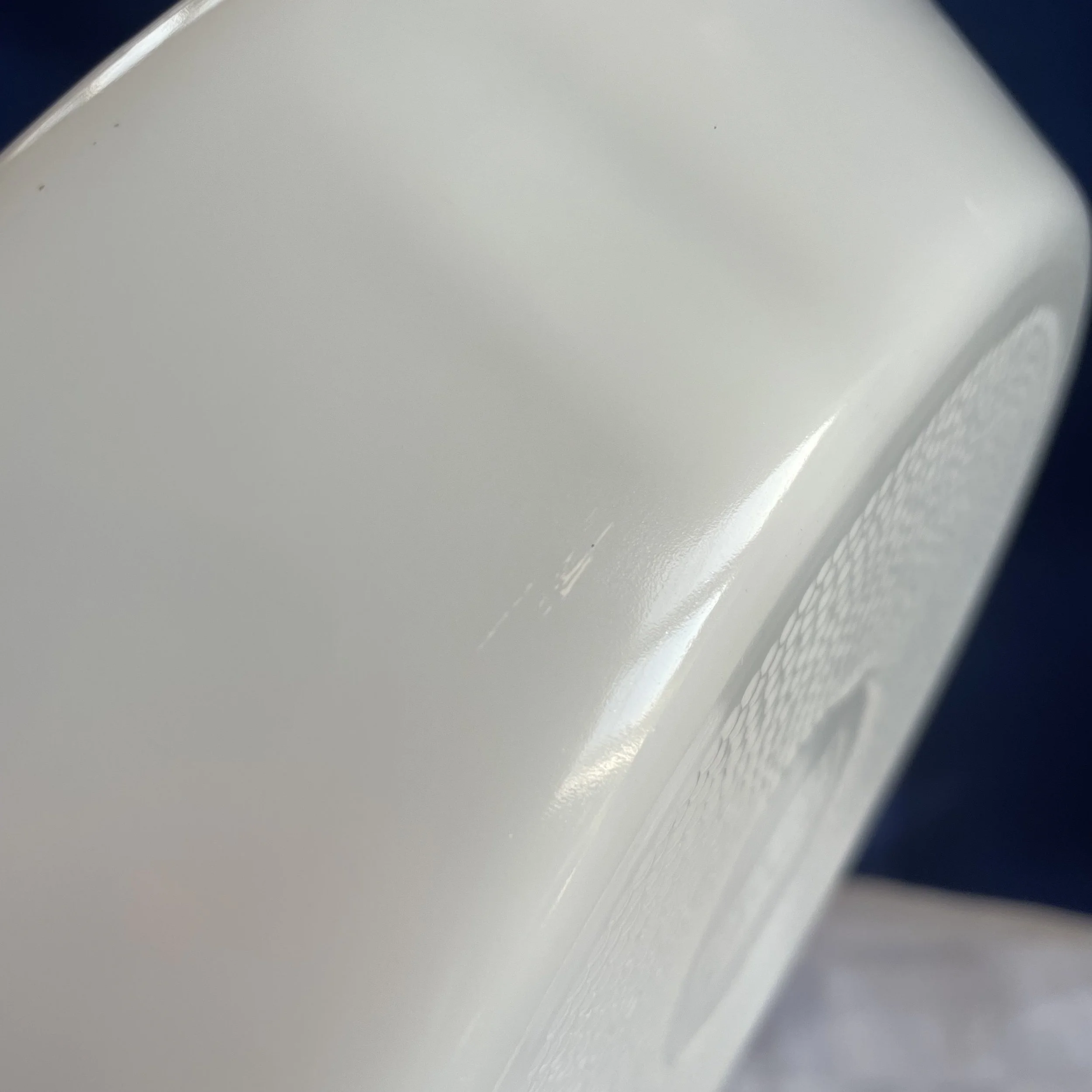 Glasbake divided oval baking dish scratch.jpeg