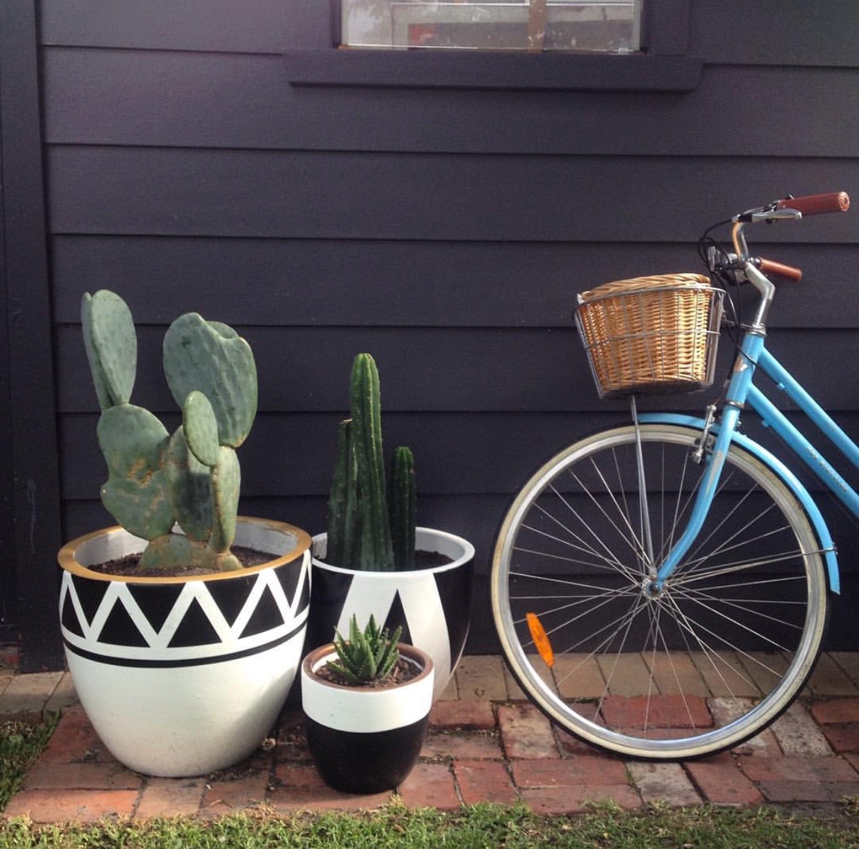 Aztec, Chunky Chev and Dipped pots .jpg