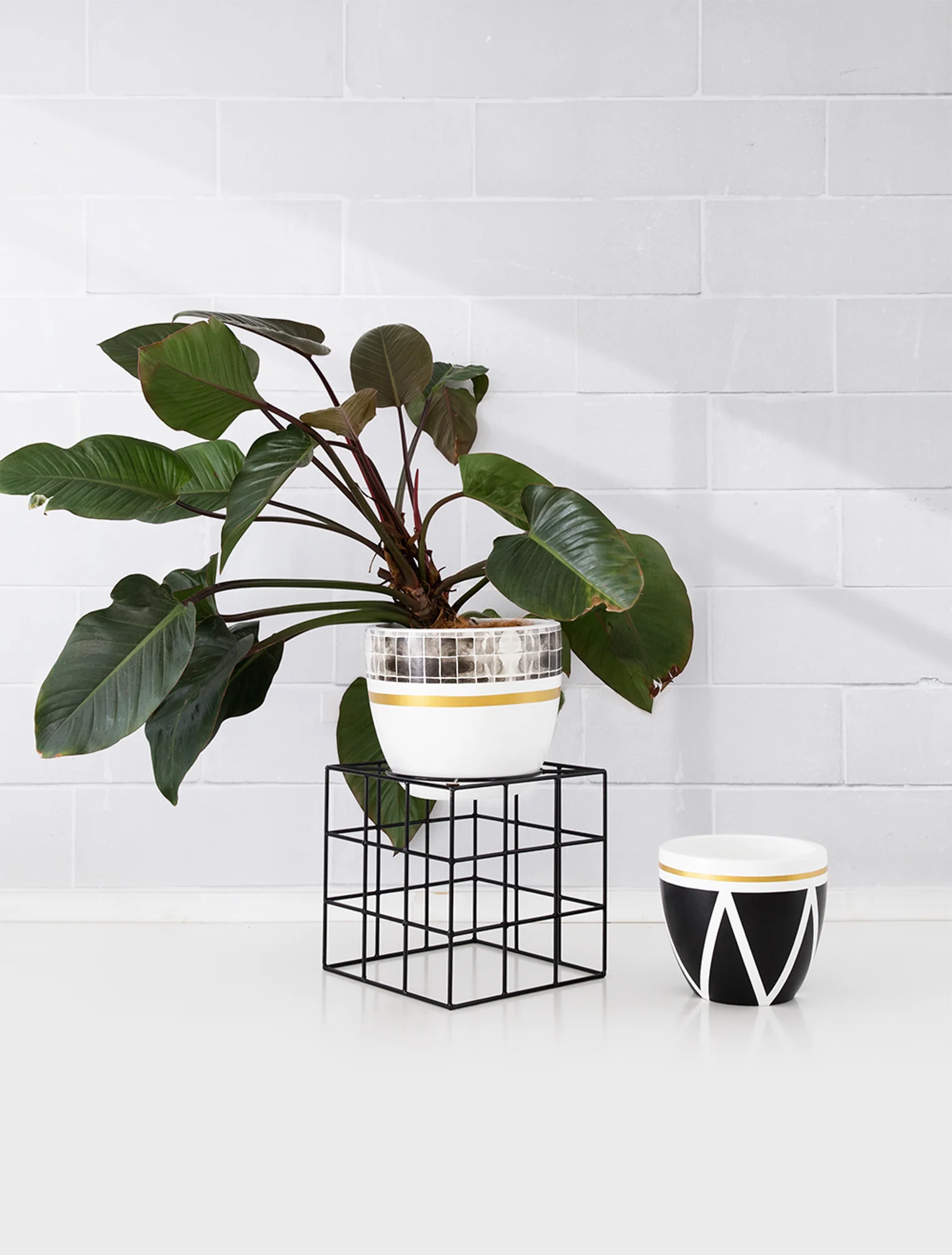 Grid Wallpaper pot with The Hulk Plant stand and Pancho pot on floor 23 LR.jpg