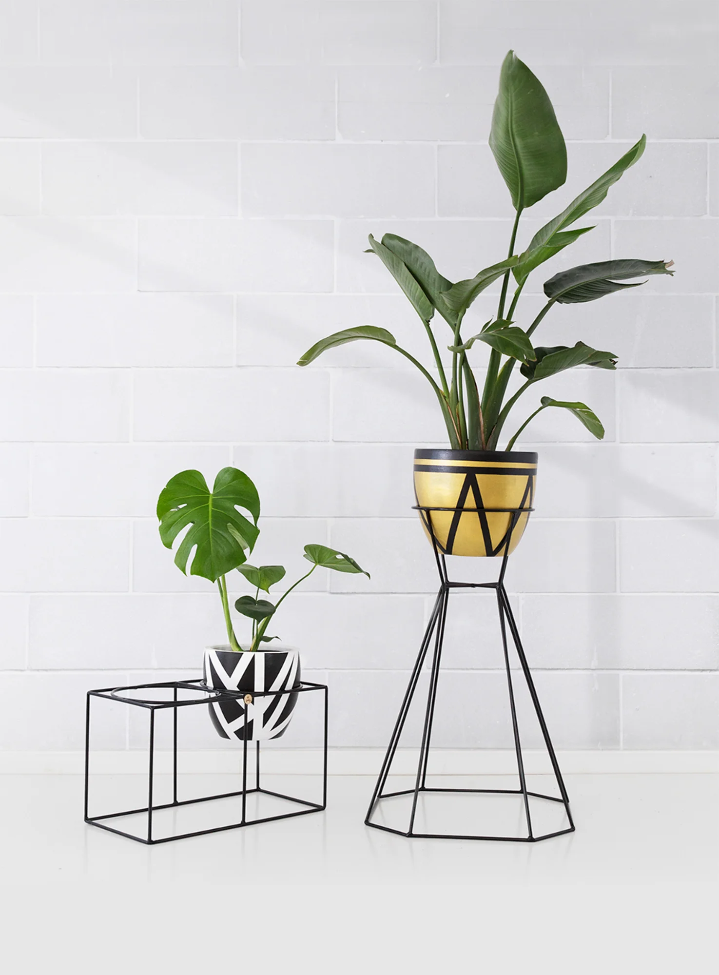 Mister fantastic plant stand with charlottes web pot. Wonder Woman plant stand with Pancho pot 19 LR.jpg