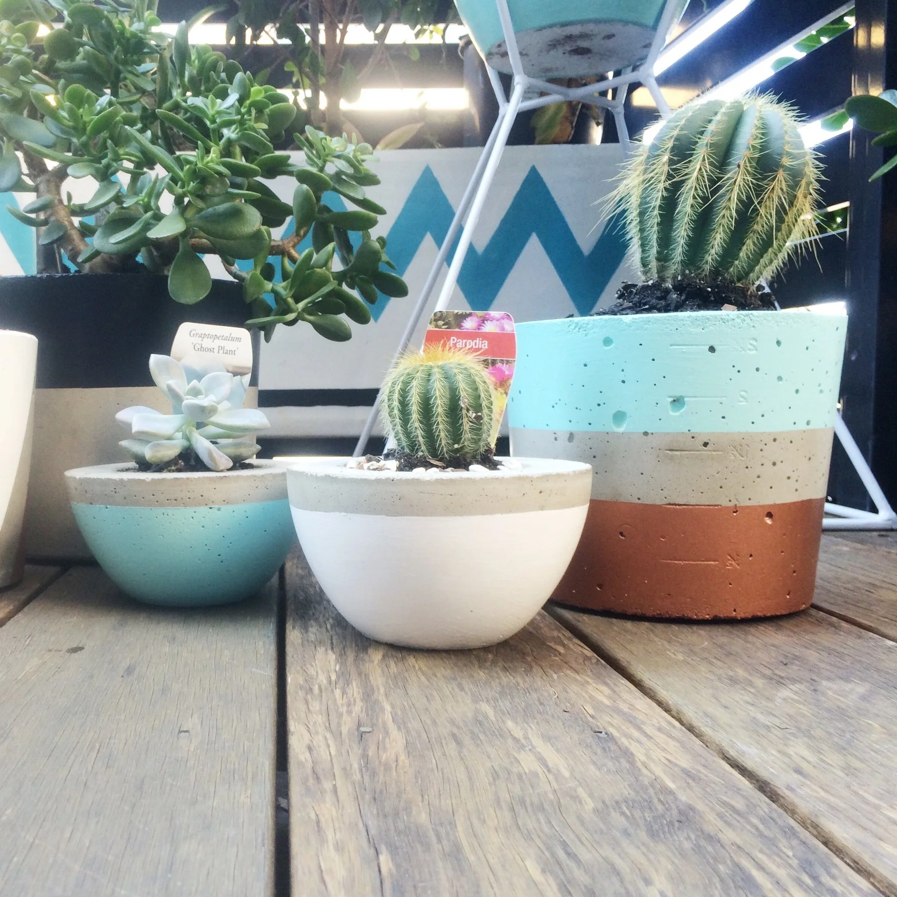 Concrete pots.jpg