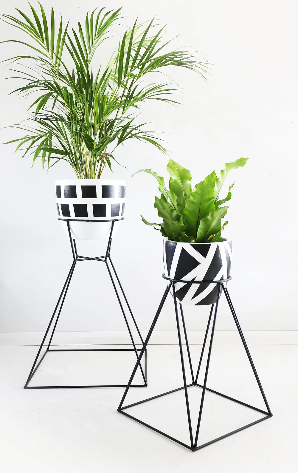 Black Aphrodite Plant stand with Brick house pot and right small Zeus plant stand with Charlottes Web pot copy.jpg