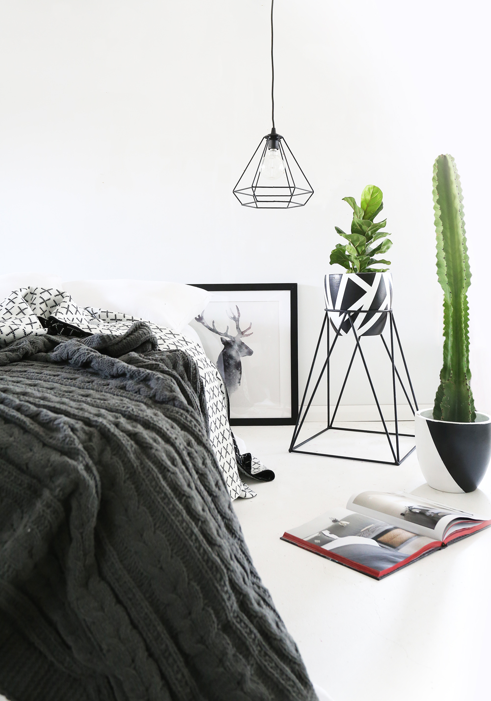 Zeus plant stand with Charlottes web and Diagonal pot .jpg