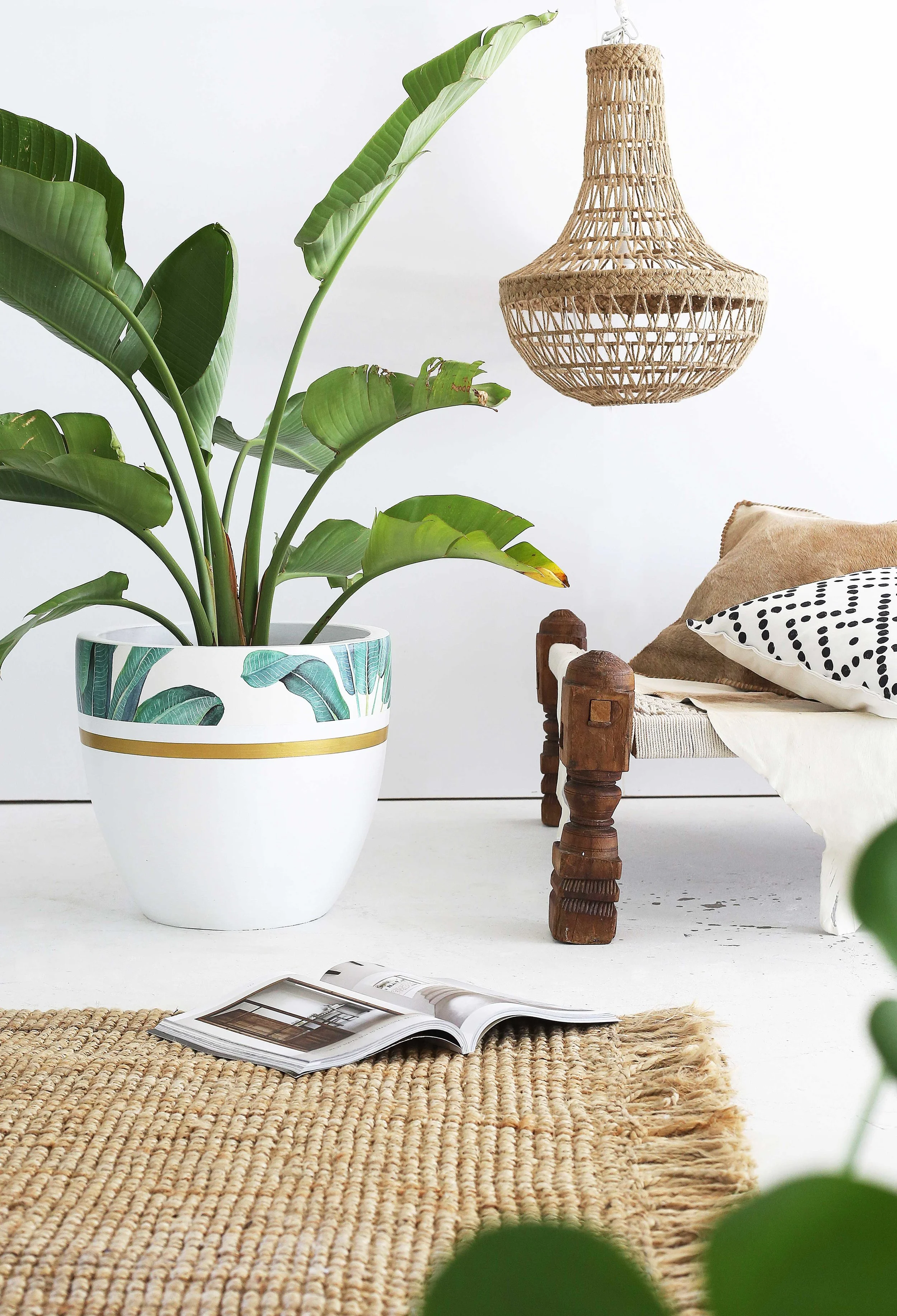Banana-Palm-White-.jpg