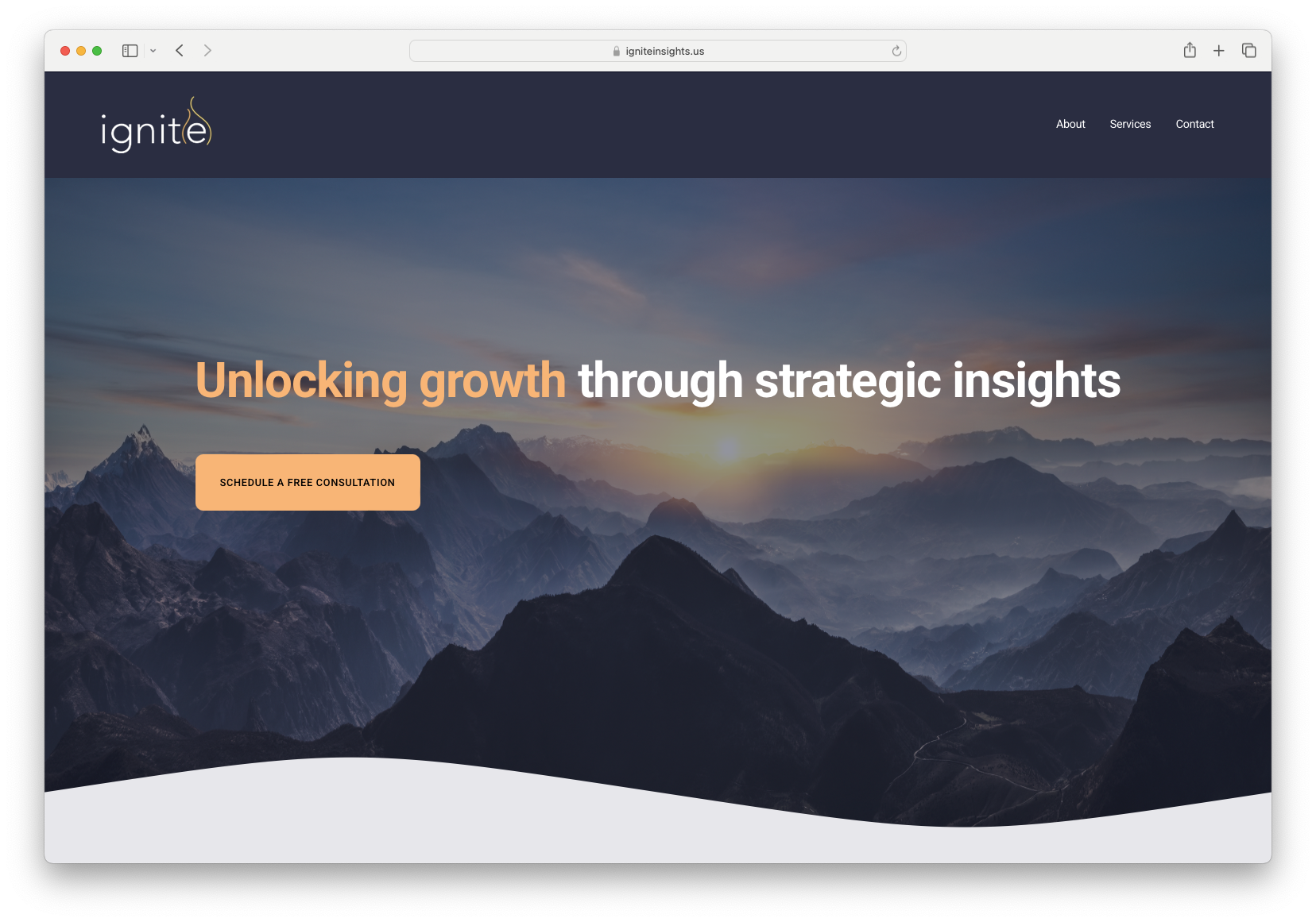 Ignite Insights - Homepage.png