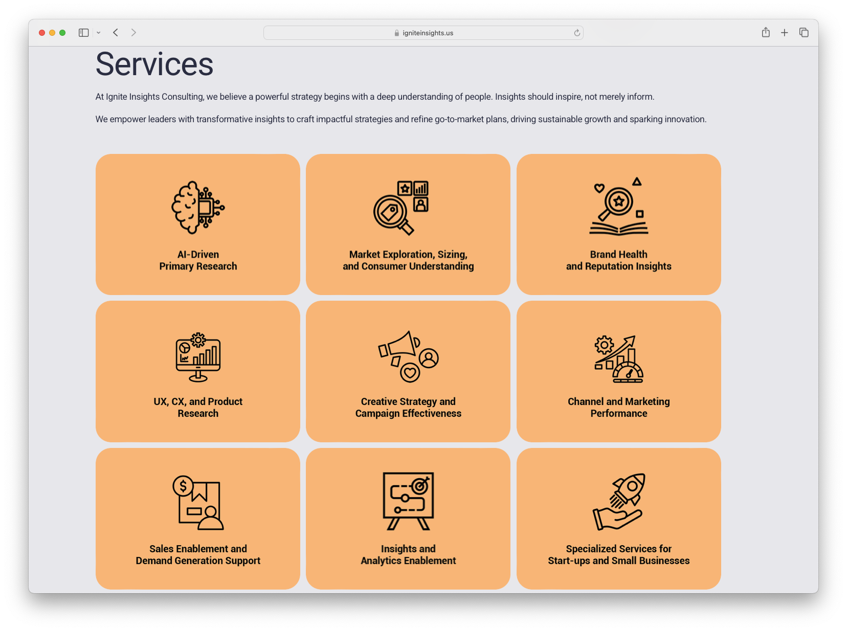 Ignite Insights - Services.png