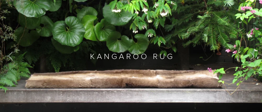 Banner_Kangaroo_2.jpg