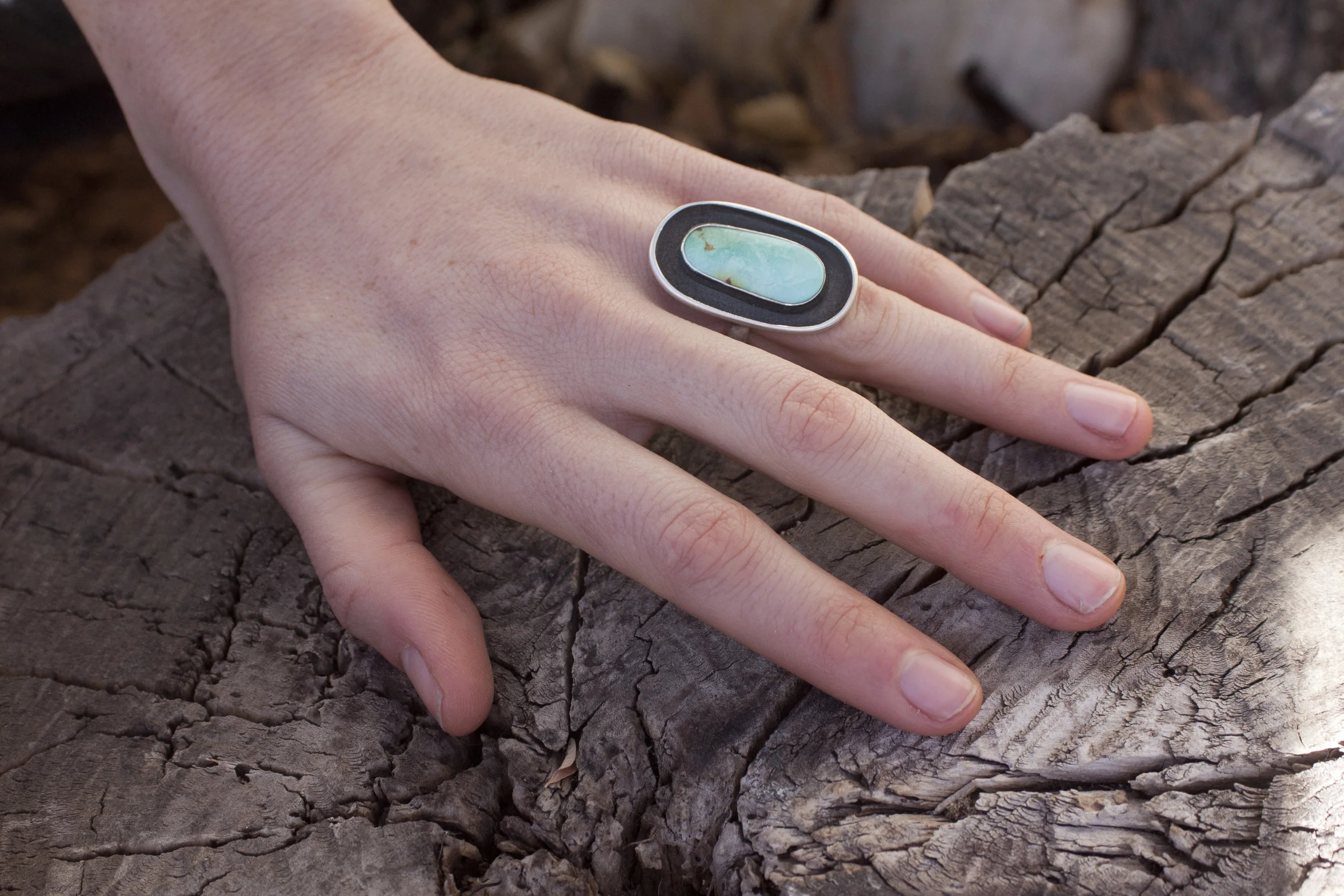 Sonoran ring .jpg
