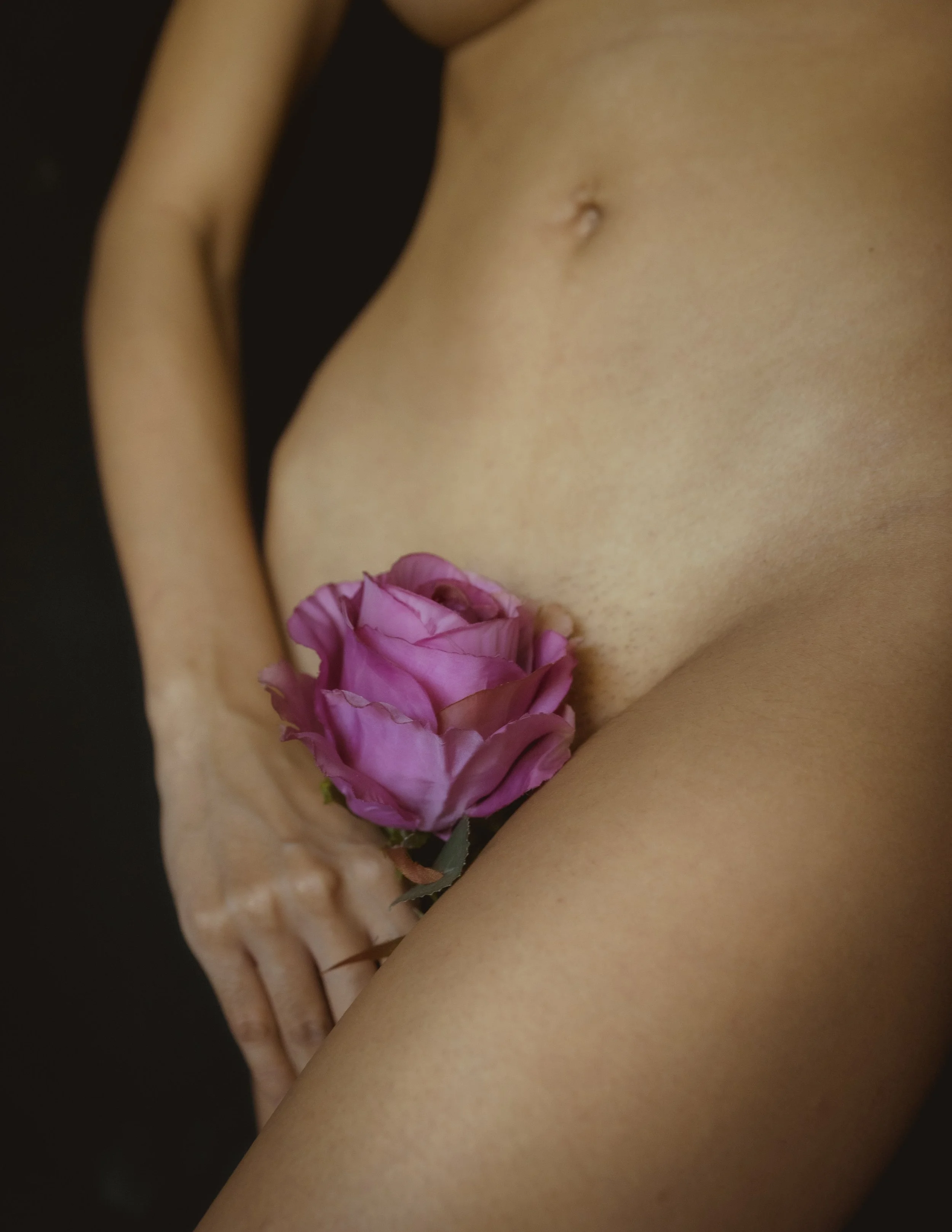 Asian Allure - The Jumper & The Rose (Copy)