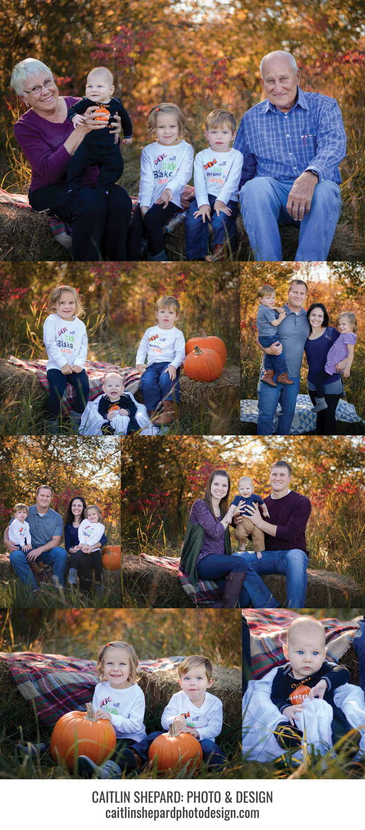 BarlowFamily Layout1.png