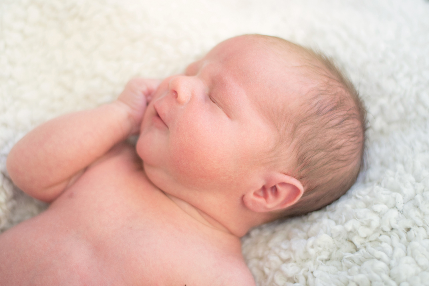 Baby Maverick