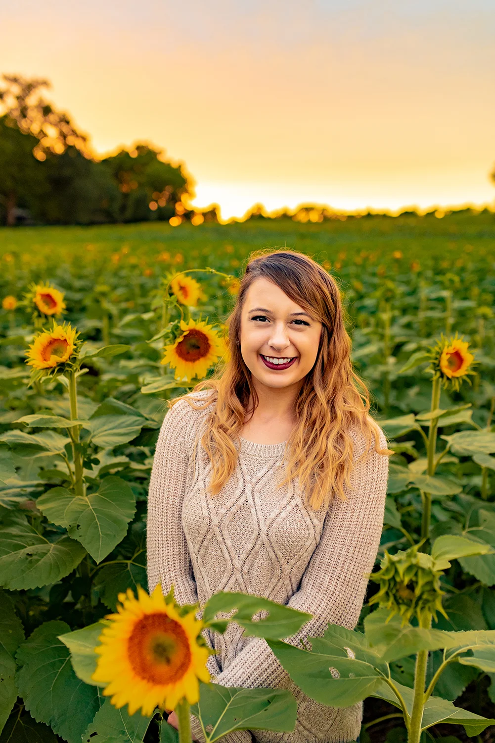 Mandy Reno: Design Extraordinaire, Sunflower Model