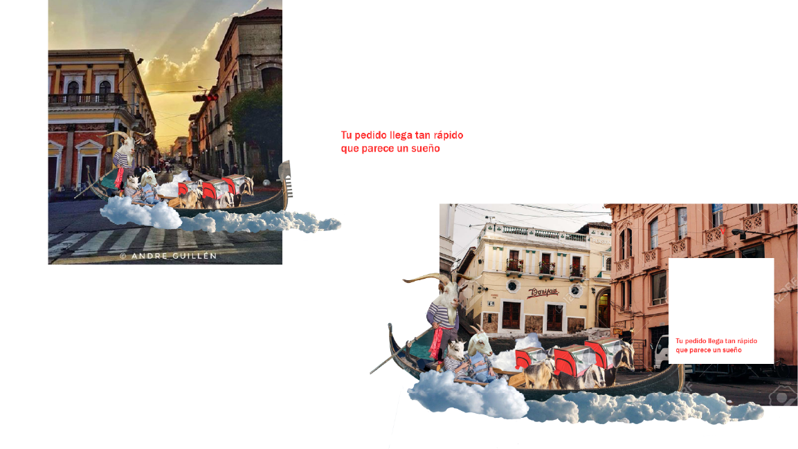 Pedidos ya portafolio 9.png