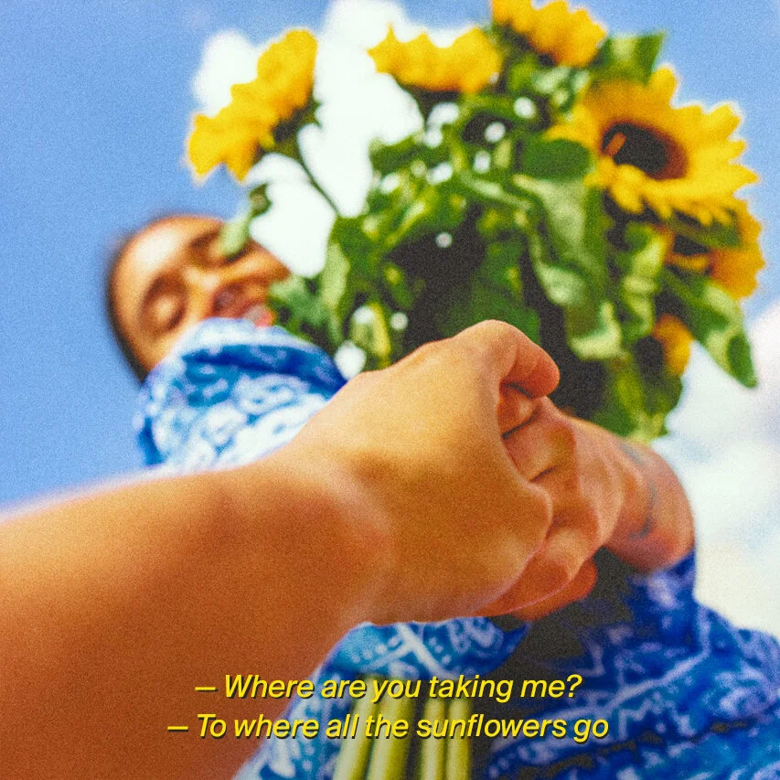 sunflower 1.jpg