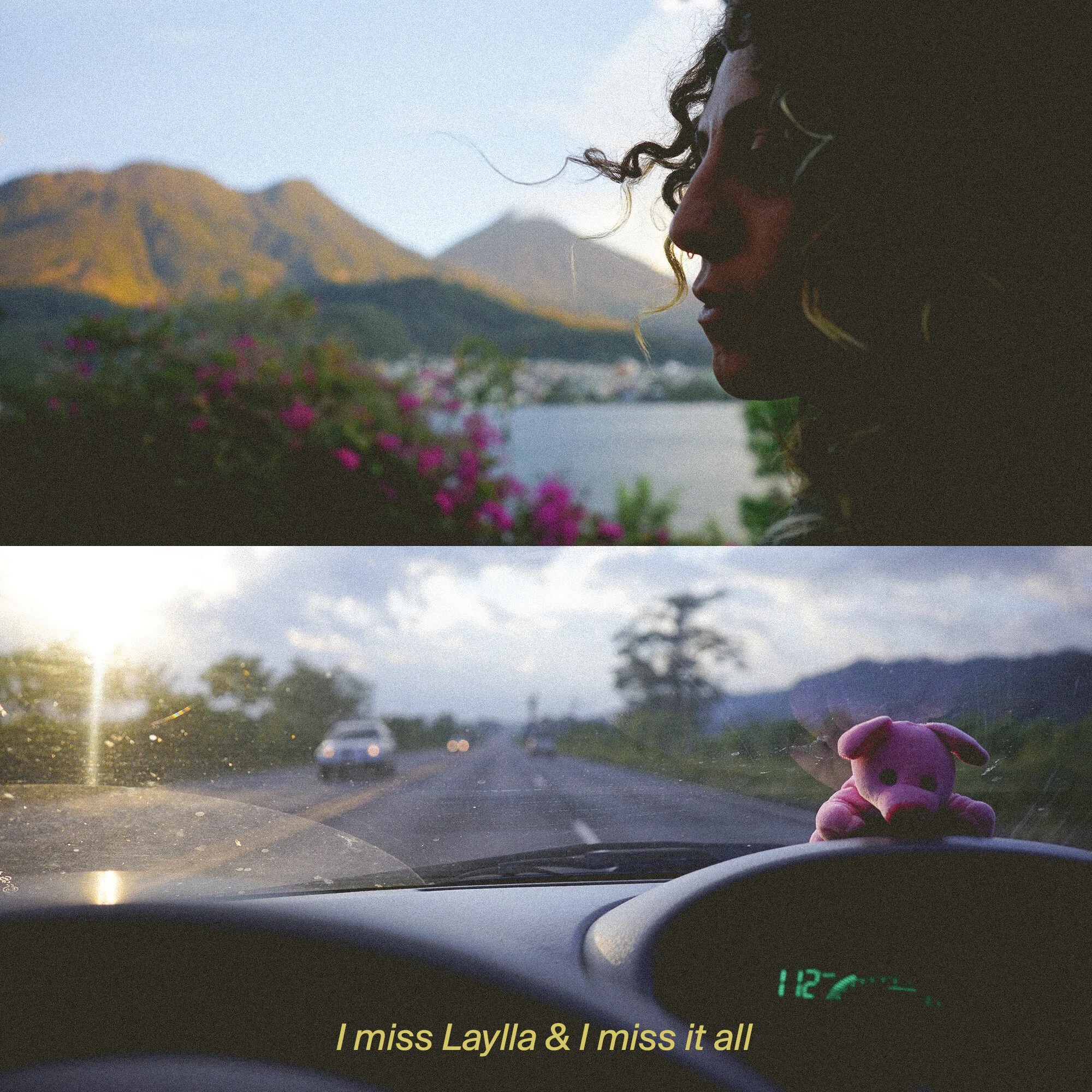 Laylla 1.jpg