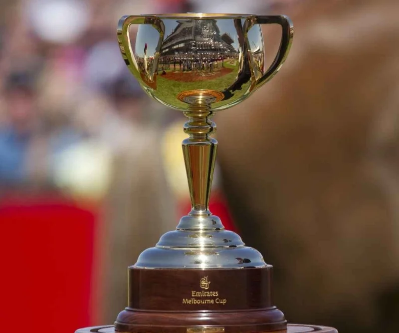 The-6-million-Emirates-Melbourne-Cup-1477806368_1352x900.jpg