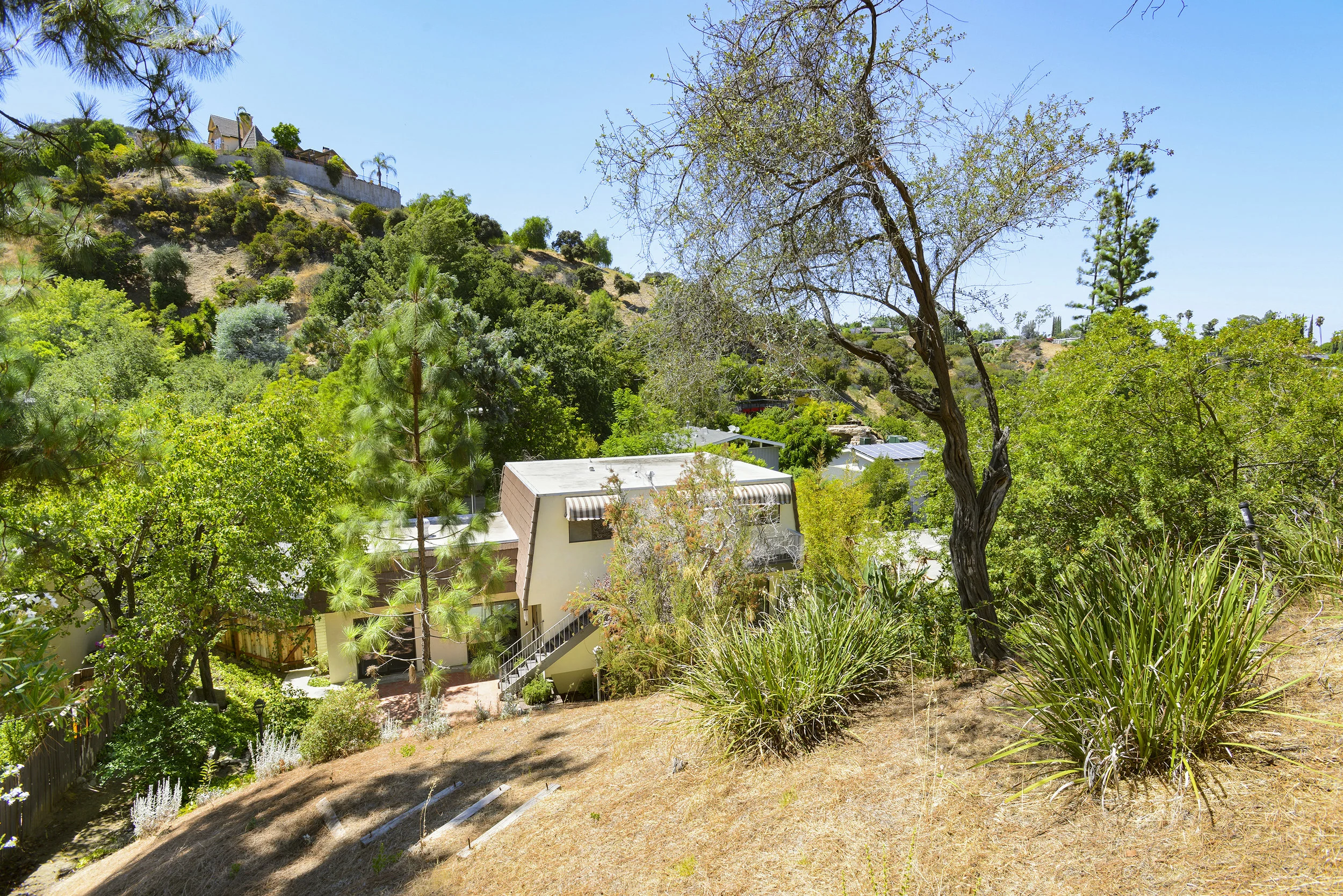 16986_Escalon_034.jpg