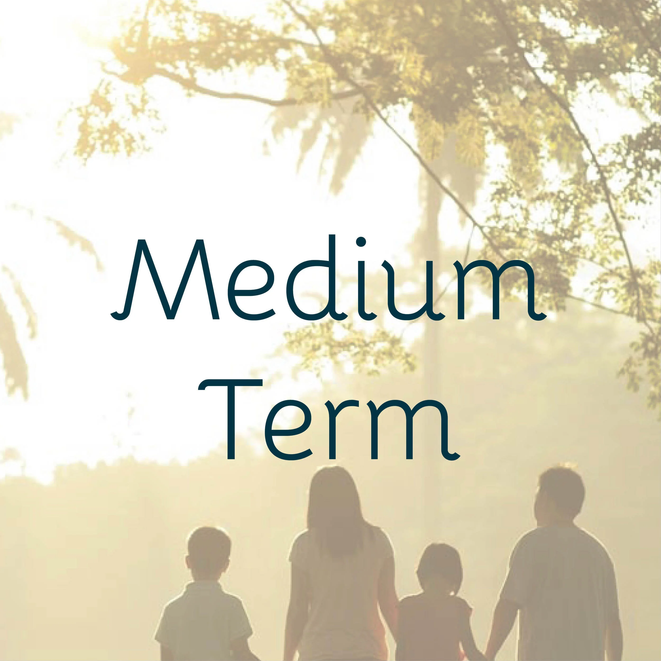 Term Plans-42.jpg