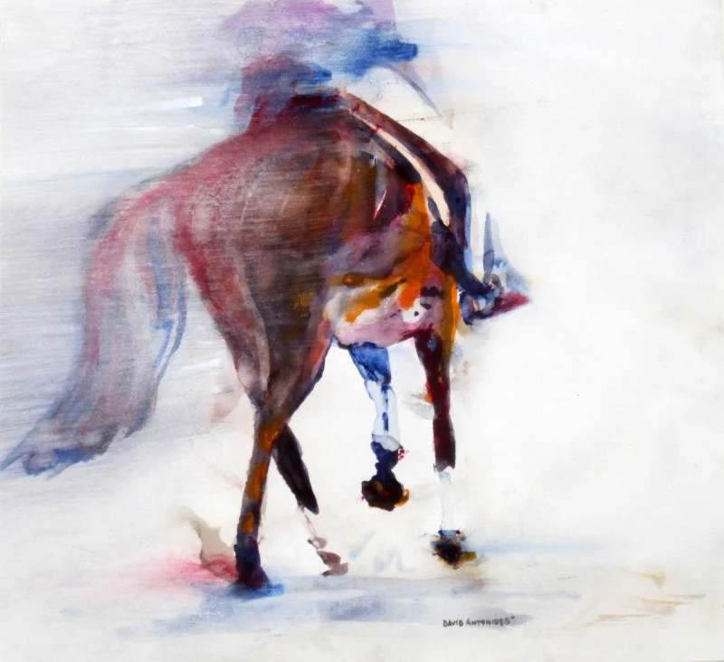 antonides   50 x 52 cm.jpg