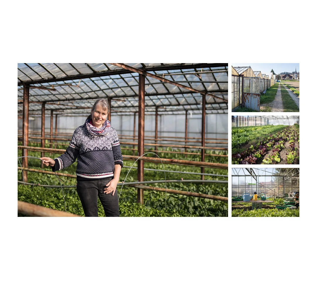 Landwerker & Gaumenfreunde wo die Schlosshalde einkauft Portraits von Produzenten für das Gasthaus Schlosshalde Kerstin te Heesen, Gemüsehaus Thalheim