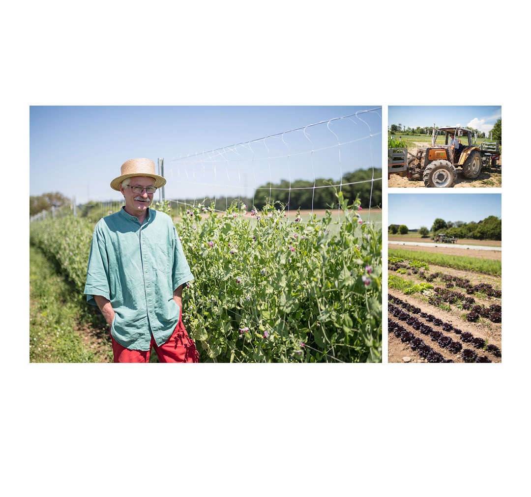  Landwerker &amp; Gaumenfreunde  wo die Schlosshalde einkauft  Portraits von Produzenten für das  Gasthaus Schlosshalde       Daniel Köppel, Rheinau     