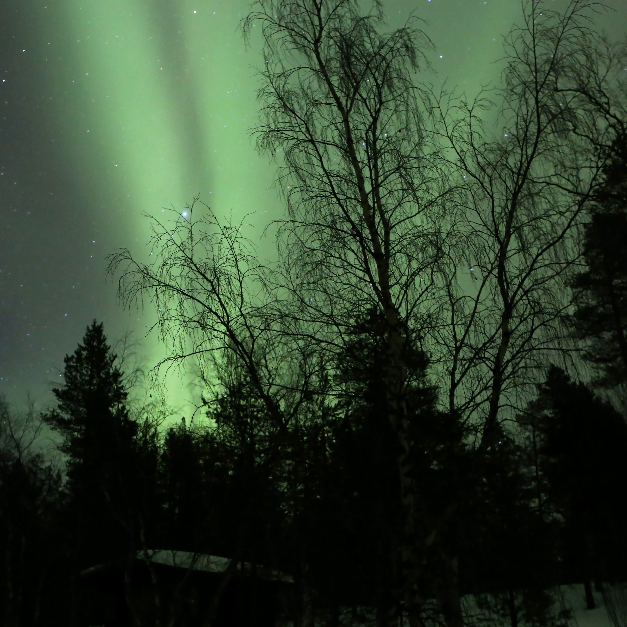 Aurora borealis at Inarijärvi Finland, by Manfred Werner - Tsui / Creative Commons / Wikimedia Commons