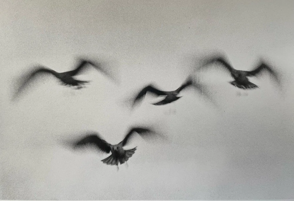 Ernst Haas