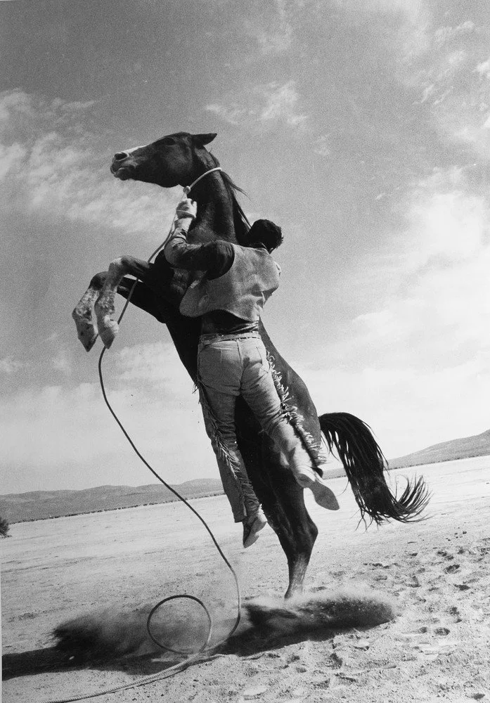 Ernst Haas