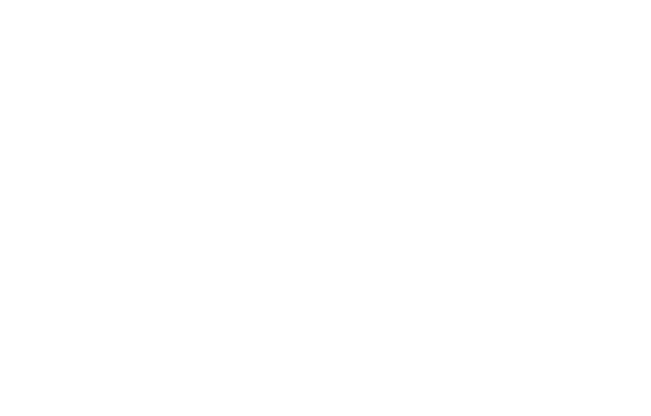 photo basel logo weiss
